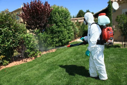 Nacogdoches Mosquito Control