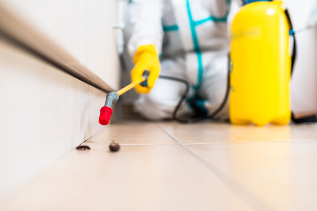 Nacogdoches Cockroach Experts