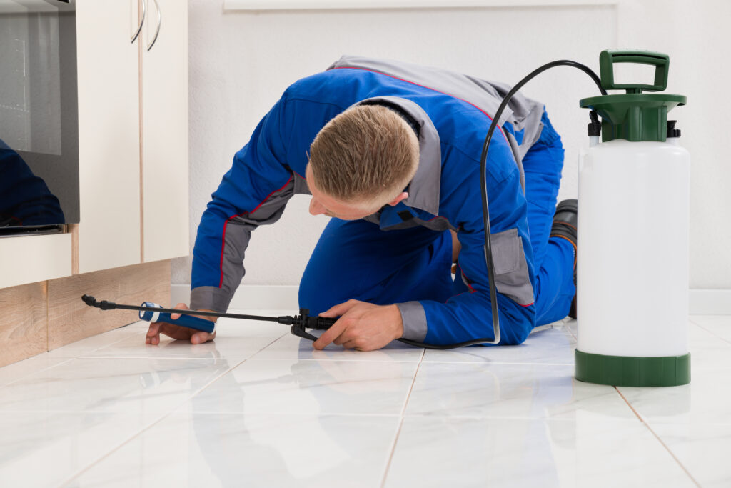 Nacogdoches Ant Control Xperts
