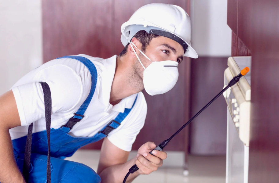 Nacogdoches local pest services