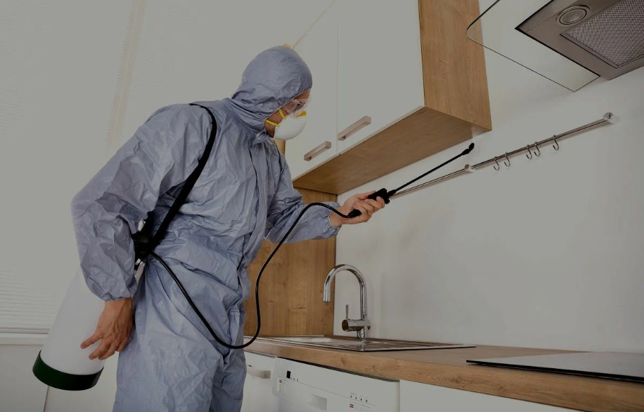 Nacogdoches pest managment
