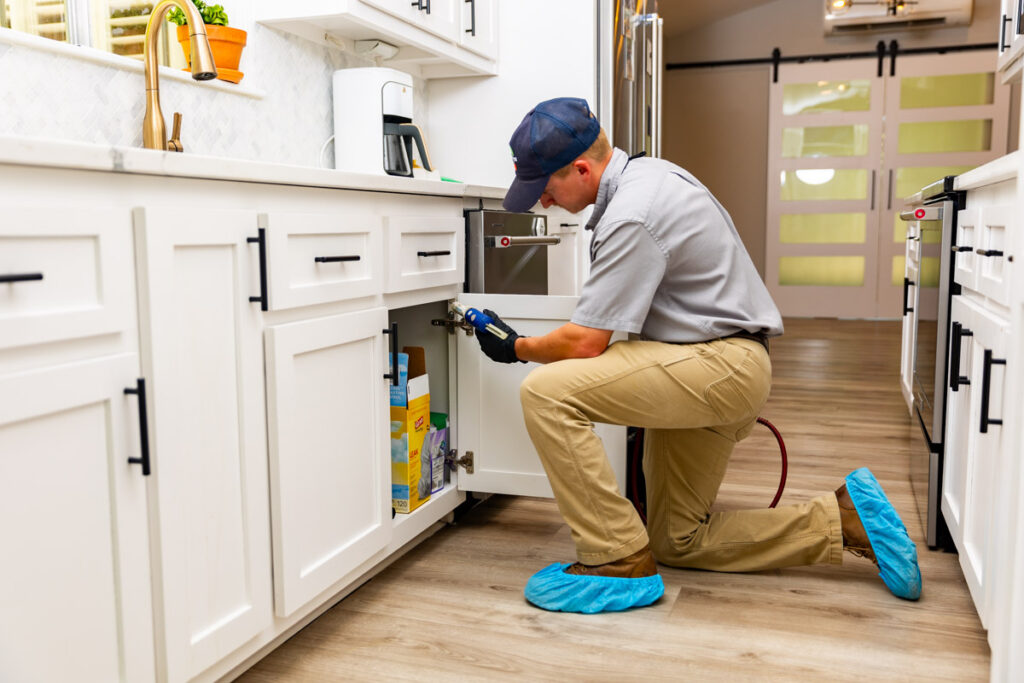Nacogdoches xpert pest management